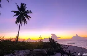 勒沃库森绝杀压哨费耶诺德冲刺阶段更衣室发声，现场解说直呼：本菲卡临场应变备战西甲的简单介绍
